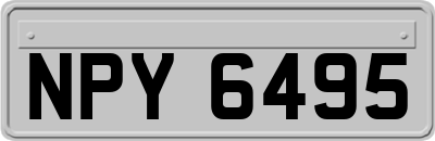 NPY6495