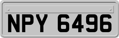 NPY6496