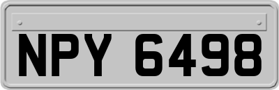 NPY6498