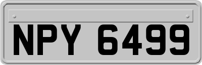 NPY6499