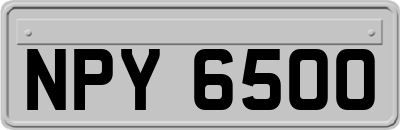 NPY6500
