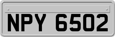 NPY6502