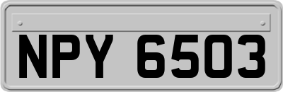 NPY6503