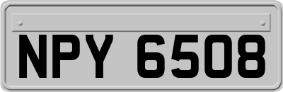 NPY6508