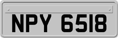 NPY6518