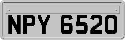 NPY6520