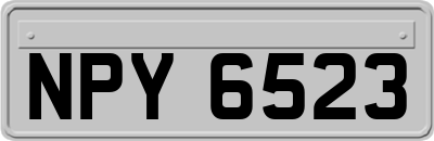 NPY6523