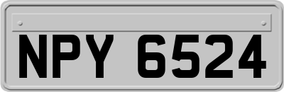 NPY6524