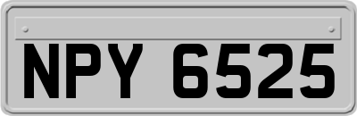 NPY6525