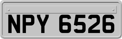 NPY6526
