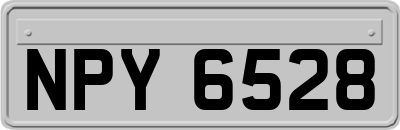 NPY6528