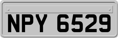 NPY6529