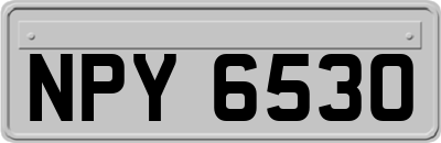 NPY6530