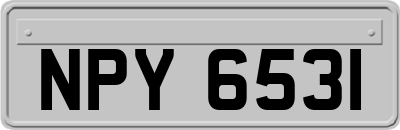 NPY6531