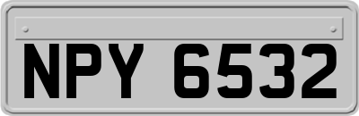 NPY6532
