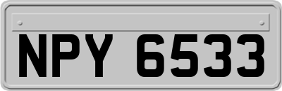 NPY6533