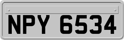 NPY6534