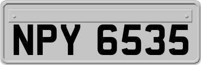 NPY6535