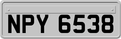NPY6538