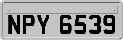 NPY6539