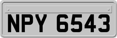 NPY6543