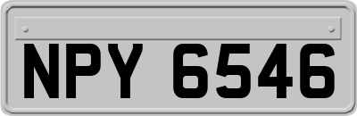 NPY6546