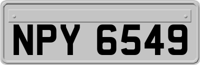 NPY6549