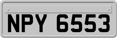NPY6553