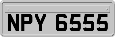 NPY6555