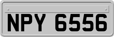 NPY6556