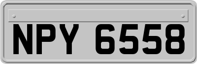 NPY6558