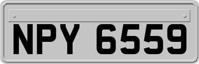 NPY6559
