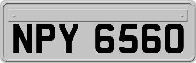 NPY6560