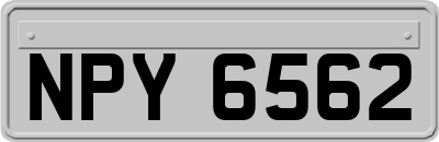 NPY6562