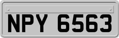NPY6563