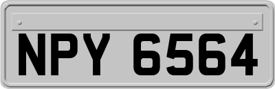 NPY6564