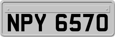 NPY6570