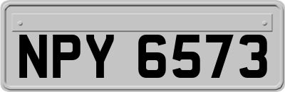 NPY6573