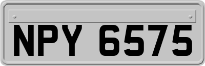NPY6575