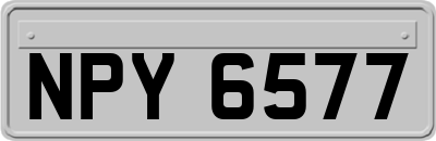 NPY6577