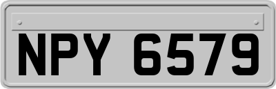 NPY6579
