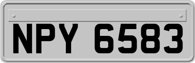 NPY6583