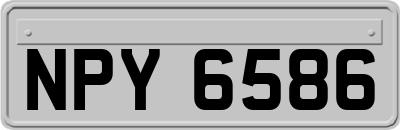 NPY6586