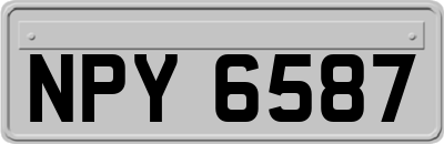 NPY6587