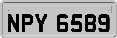 NPY6589