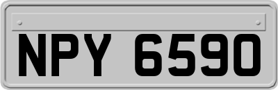 NPY6590