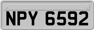 NPY6592