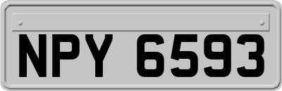 NPY6593