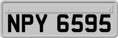 NPY6595