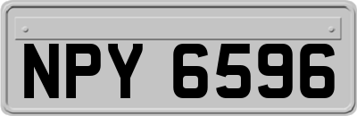 NPY6596